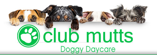 Doggy Daycare in Moody AL