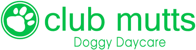 doggy-daycare